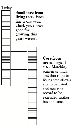 Diagram of matched Tree Rings from a living tree and dead wood, explained in caption